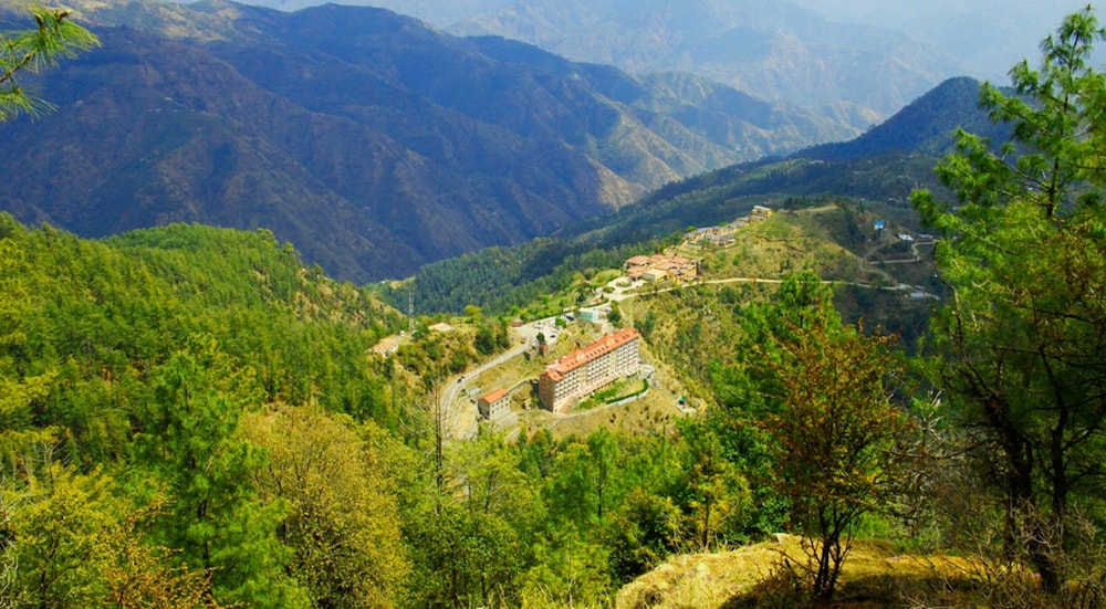toshali resort shimla